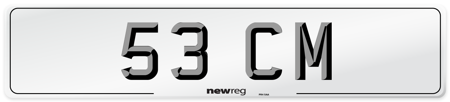 53 CM Number Plate from New Reg